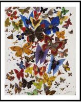 digigraphie vol de papillon